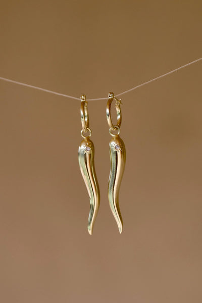 Long Chilli Earrings Cornicello 14K Gold Vermeil Jewellery Corno Hoop Earrings Moonstone Gold Star Chill Hoops Gifts Protection Jewellery